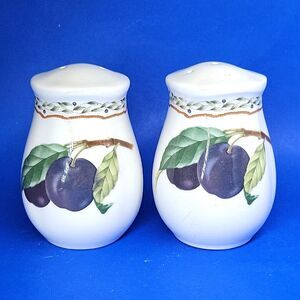 Noritake Gourmet Harvest 4" X 2 1/2" Salt & Pepper Shaker Excellent Condition
